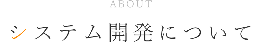 システム開発について